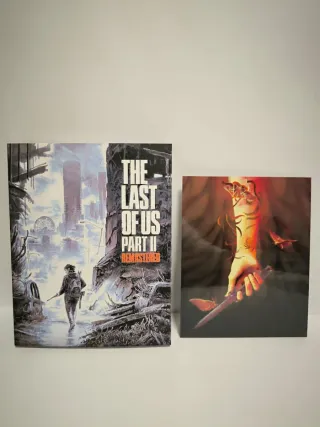 The Last of Us Part II PS5 slipcage slipcover