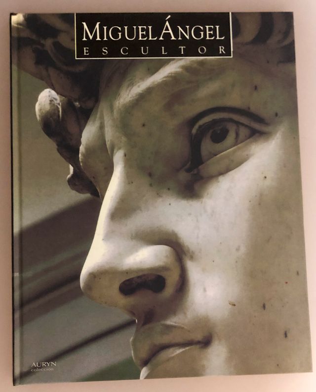 Libro Michelangelo Scultore