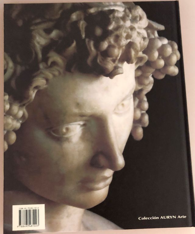 Libro Michelangelo Scultore