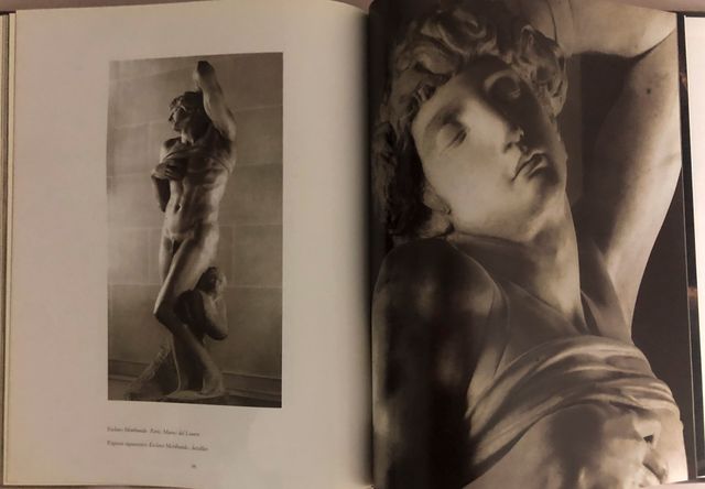 Libro Michelangelo Scultore