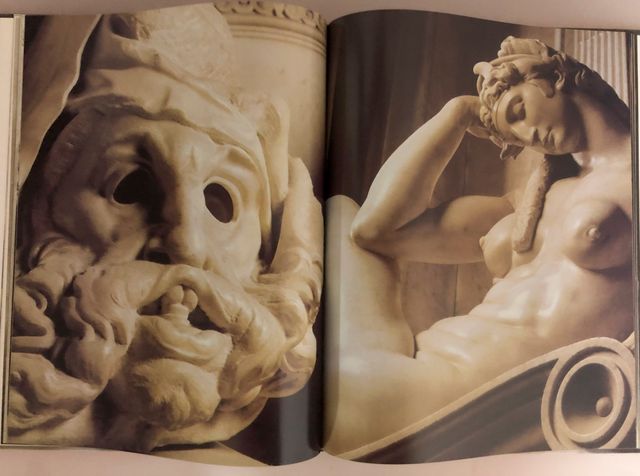 Libro Michelangelo Scultore