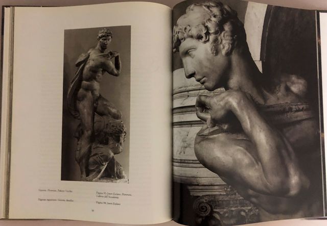 Libro Michelangelo Scultore