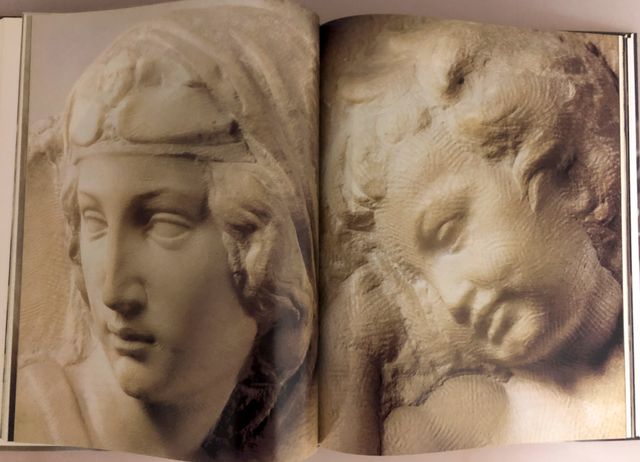 Libro Michelangelo Scultore