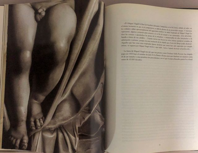 Libro Michelangelo Scultore