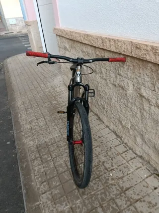 Bicicleta Dirt Jump