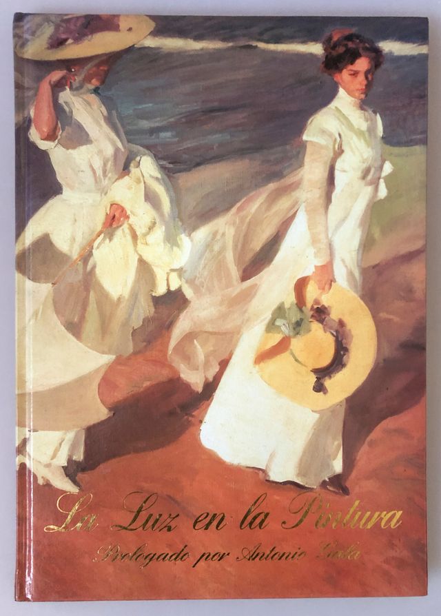 Libro La Luz en la Pintura