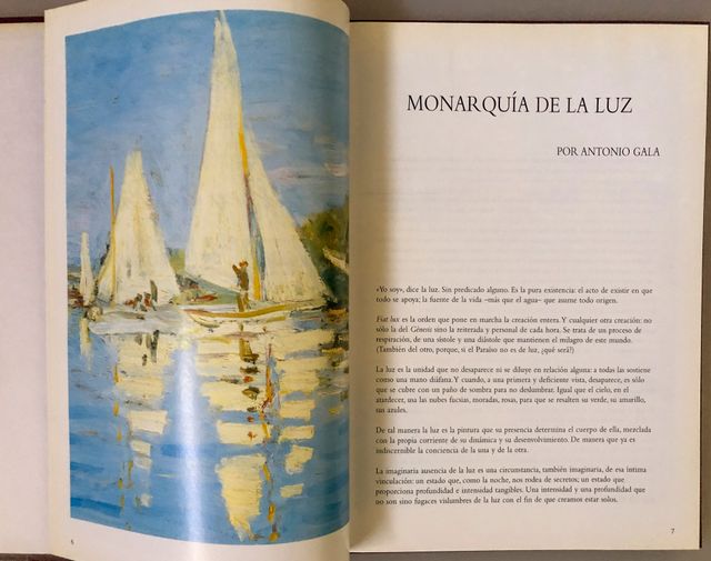 Libro La Luz en la Pintura