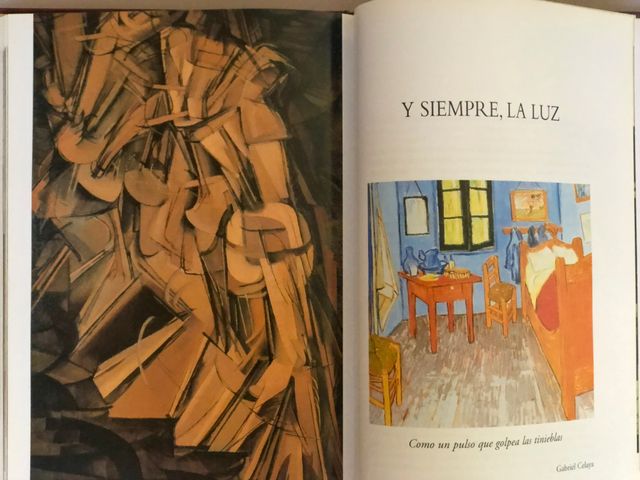 Libro La Luz en la Pintura