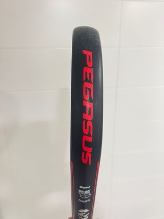 Pala Pádel Siux Pegasus