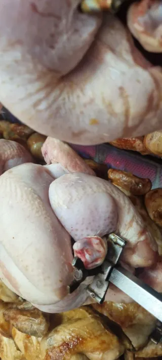 Asador de pollos profesional