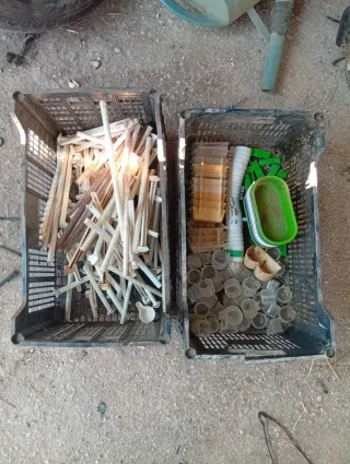 Accesorios para pájaros