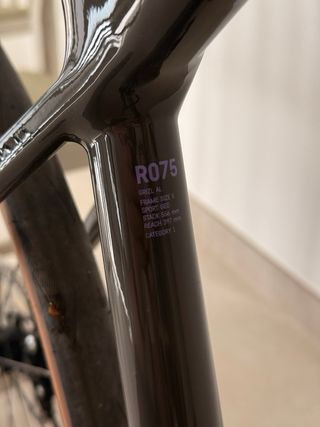 Canyon Grizl 7 AL 2023 + DT Swiss C1850 Talla: S