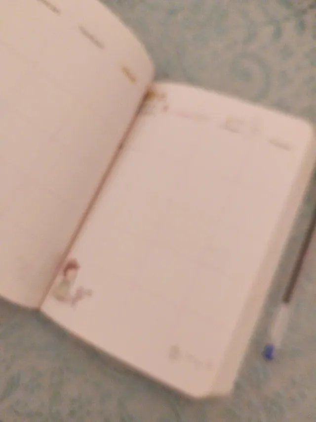 Agenda rosa Don't you worry about a thing