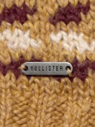Jersey Hollister con capucha y cordones
