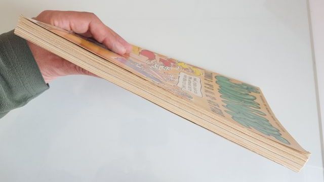 La Judía Verde. Tomo 3. Números del 9 al 12.