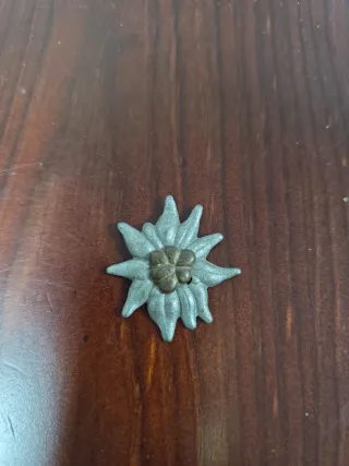 Insignia Edelweiss Gebirgsjäger