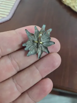 Insignia Edelweiss Gebirgsjäger