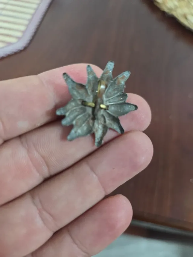 Insignia Edelweiss Gebirgsjäger