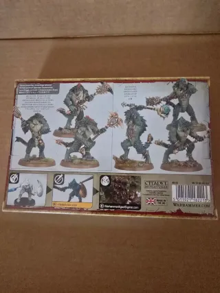 Warhammer Age of Sigmar Kroxigor