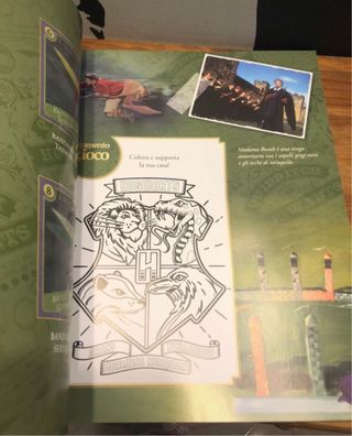 Album Harry Potter Momenti Magici + Cards