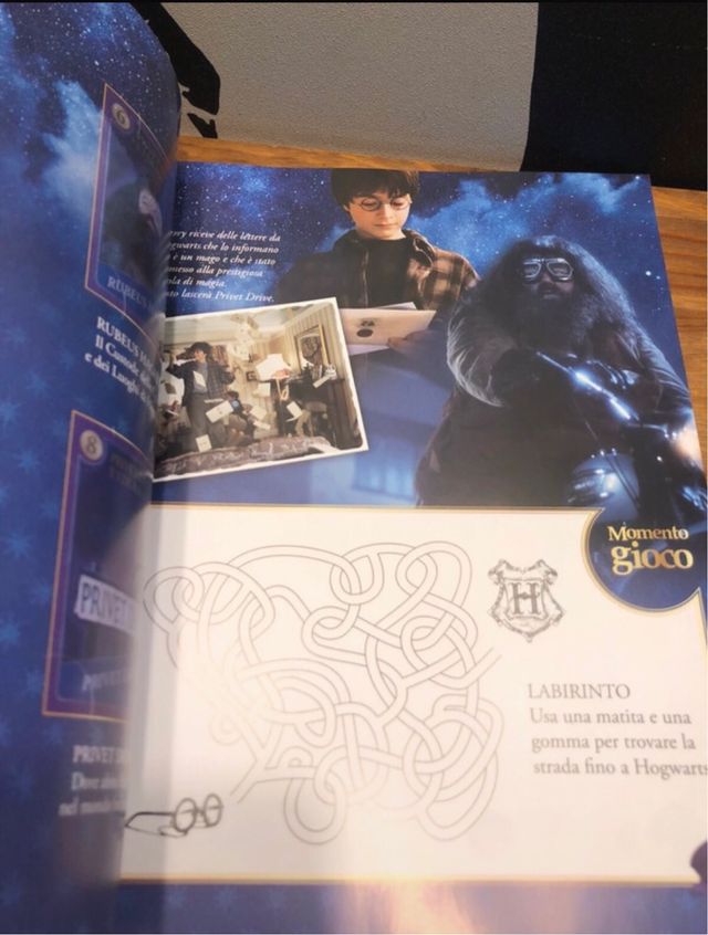 Album Harry Potter Momenti Magici + Cards