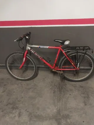 Bicicleta de montaña Energize roja