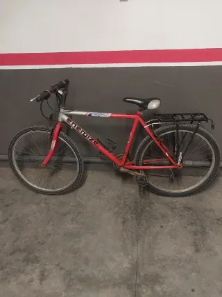 Bicicleta de montaña Energize roja