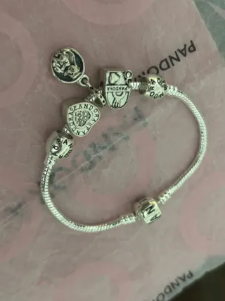Pulseira Pandora com Charms