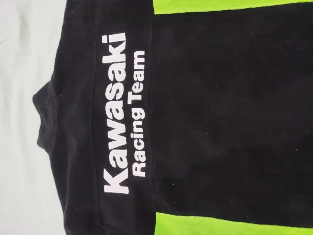 Polar Kawasaki Racing Team Negro/Verde