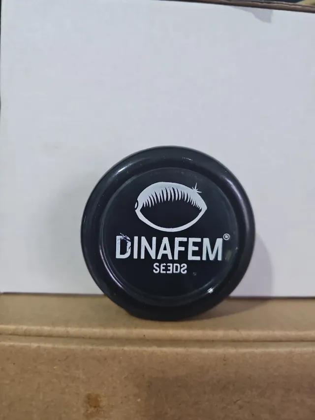 Mecheros Clipper Dinafem Seeds Descatalogado