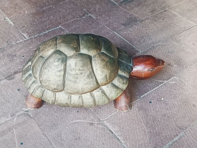 Tartaruga decorativa in legno