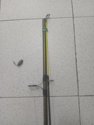 Caña de pesca Carpfishing