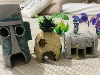 Acuario con plantas y fondo azul