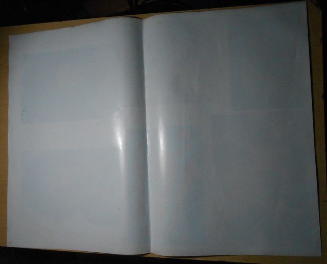 Locandina del Film Fame