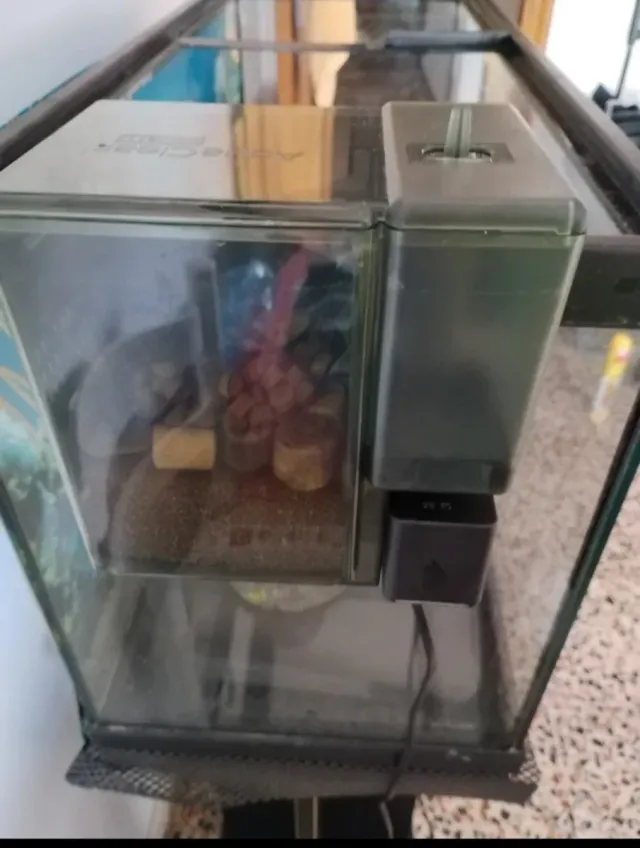 Acuario completo con soporte