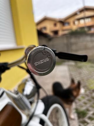 Bici elettrica Fat Bike Shimano