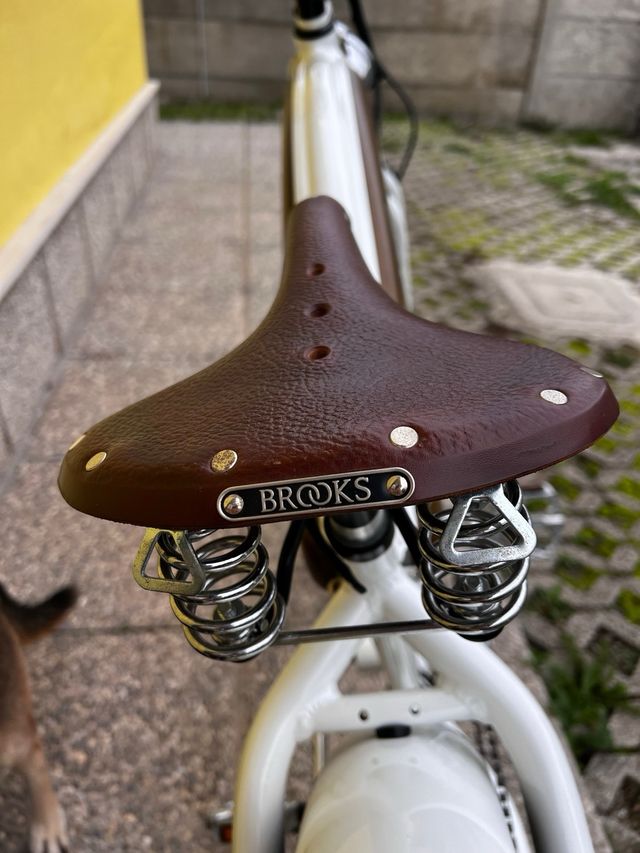 Bici elettrica Fat Bike Shimano