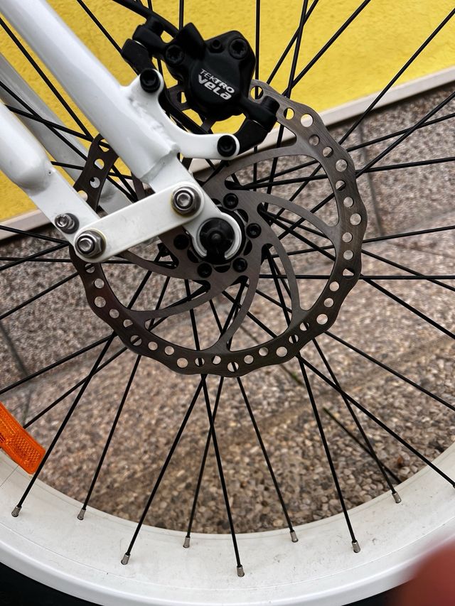 Bici elettrica Fat Bike Shimano