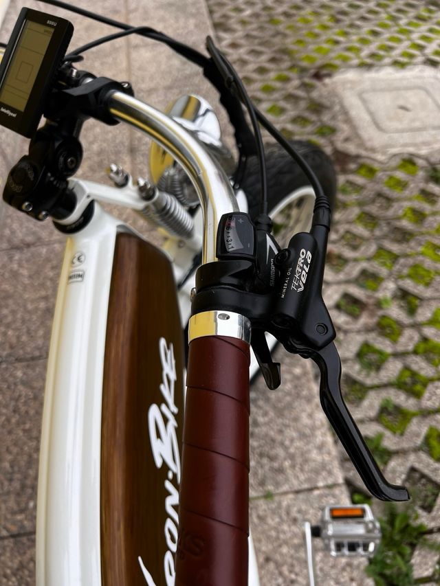 Bici elettrica Fat Bike Shimano