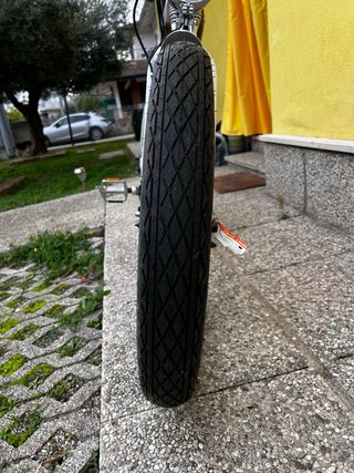 Bici elettrica Fat Bike Shimano