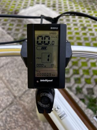 Bici elettrica Fat Bike Shimano