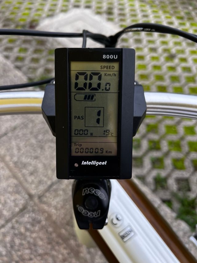 Bici elettrica Fat Bike Shimano