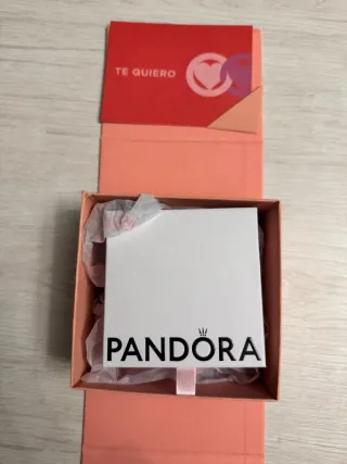 Pulsera Pandora Plata