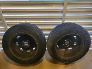2 Neumáticos con Llantas