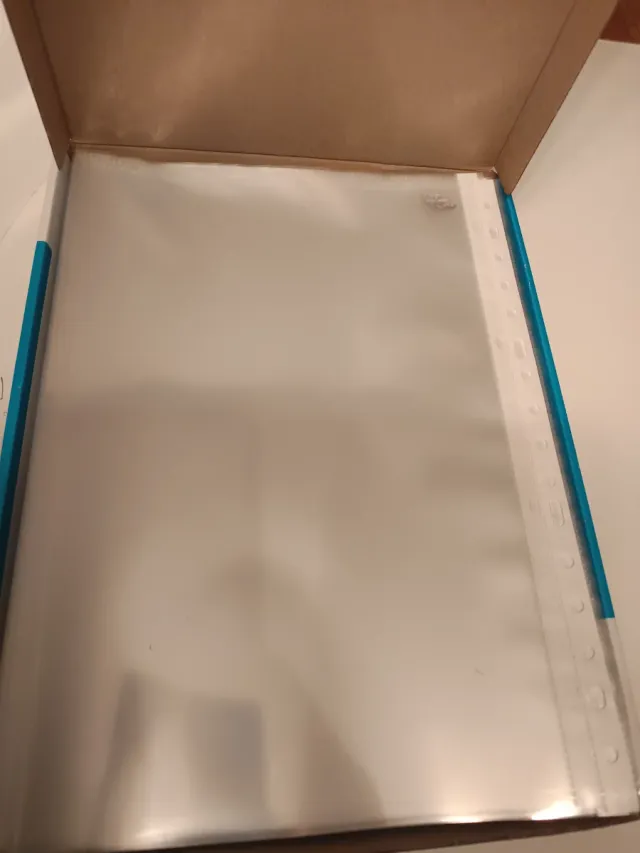 Caja 100 fundas plástico Elba