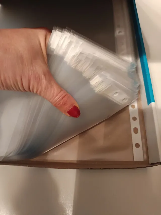 Caja 100 fundas plástico Elba