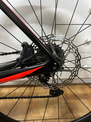 Specialized Roubaix 2019