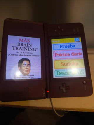 Nintendo DS Brain Training