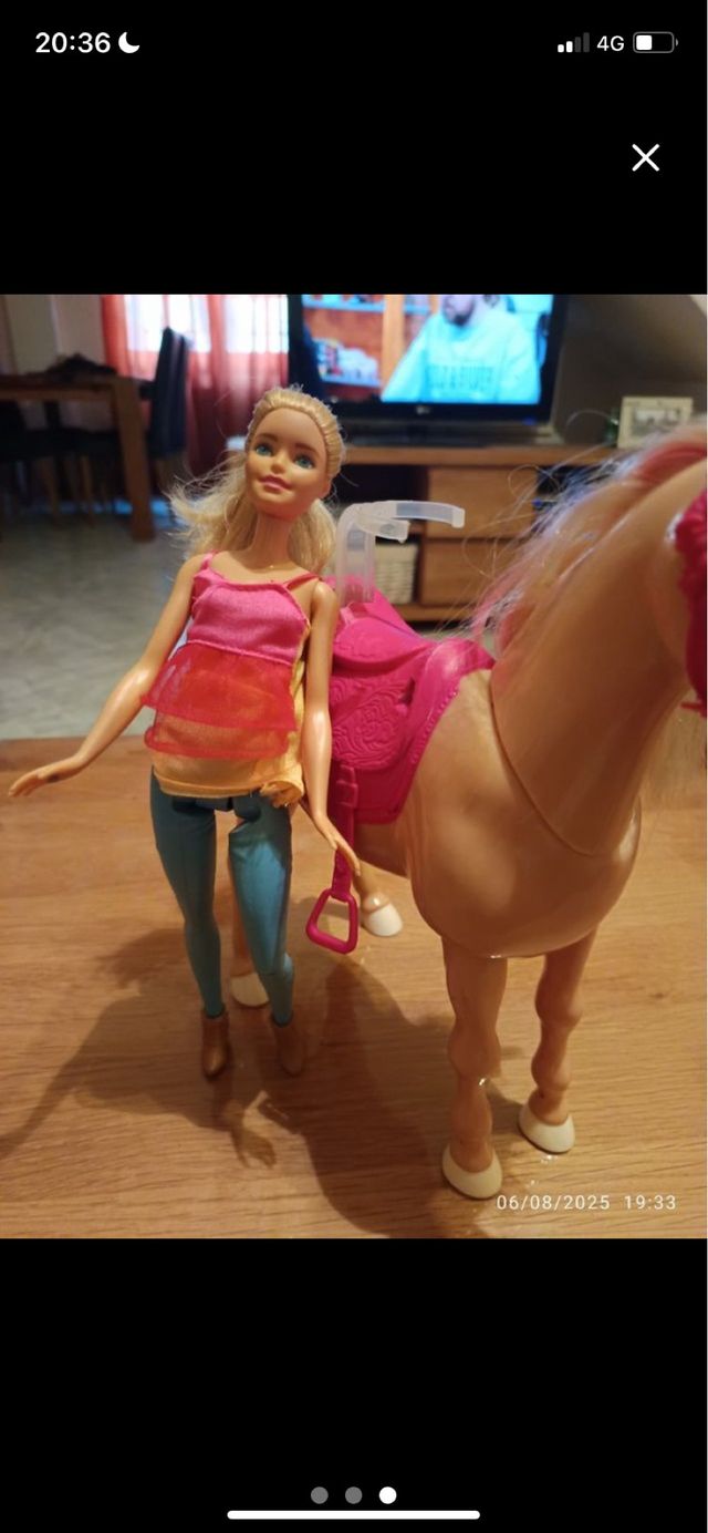 Barbie con caballo y accesorios