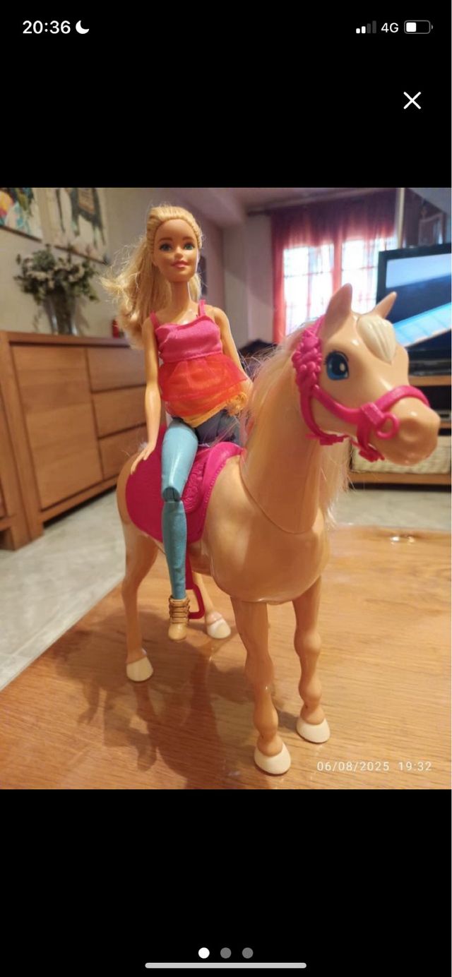 Barbie con caballo y accesorios